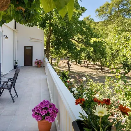 Panethimos House In Nature Malathiros